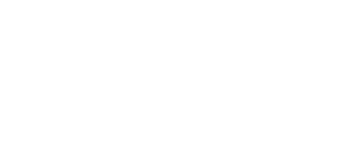 Arnott Suspension Products